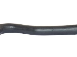 Furtun aer supraalimentare BUGIAD 88687 – FORD | AutoRival