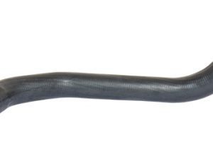 Furtun aer supraalimentare BUGIAD 88695 – FORD | AutoRival