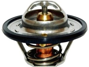 Termostat lichid racire MEAT DORIA 92095 – FORD | AutoRival