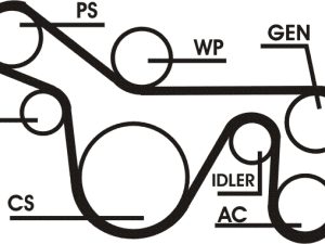 Set curea transmisie cu caneluri CONTITECH 6PK1720D1 – FORD | AutoRival