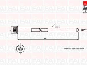 Set surub chiulasa FAI AUTOPARTS B489 – FORD | AutoRival