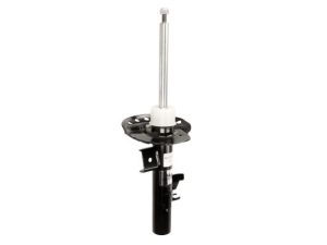 Amortizor MAGNUM TECHNOLOGY AGG141MT – FORD | AutoRival