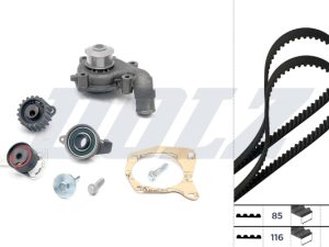 Set pompa apa + curea dintata DOLZ KD029 – FORD | AutoRival