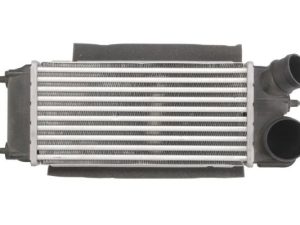 Intercooler compresor THERMOTEC DAG014TT – FORD | AutoRival