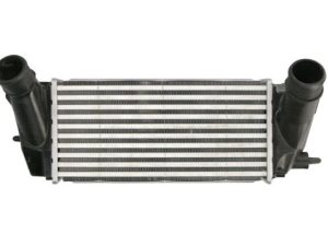 Intercooler compresor THERMOTEC DAG027TT – FORD | AutoRival