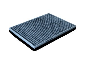 Filtru aer habitaclu KAMOKA F524001