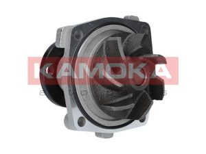 Pompa de apa KAMOKA T0011