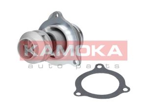 Pompa de apa KAMOKA T0135