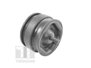 Suport motor TEDGUM 00221175