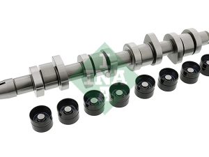 Set ax cu came INA 428 0042 30 – FORD | AutoRival