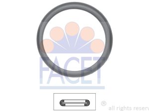 Garnitura termostat FACET 7.9598 – FORD | AutoRival