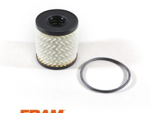 Filtru ulei FRAM CH9973AECO – FORD | AutoRival