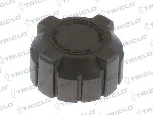Buson vas expansiune TRICLO 311349 – FORD | AutoRival