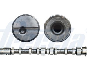 Ax cu came FRECCIA CM05-2197 – FORD | AutoRival