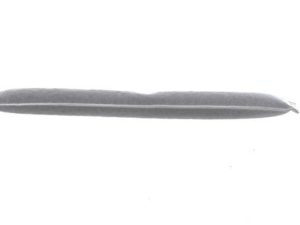 Uscator aer conditionat MAHLE ORIGINAL AD 338 000S – FORD | AutoRival
