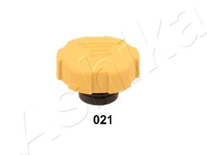 Buson radiator ASHIKA 33-00-021 – FORD | AutoRival
