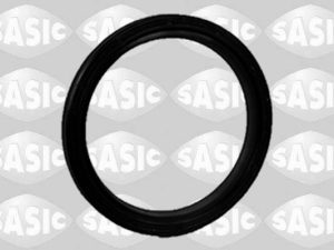Garnitura galerie admisie SASIC 1950011 – FORD | AutoRival
