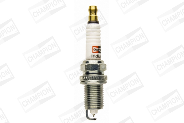 Bujie CHAMPION CCH9806 – FORD | AutoRival