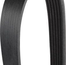 Curea transmisie cu caneluri HERTH BUSS JAKOPARTS J1061670 – FORD | AutoRival