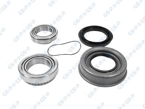 Set rulment roata GSP GK3205 – FORD | AutoRival