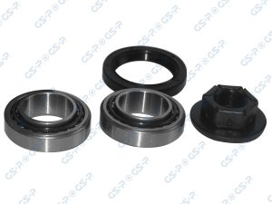 Set rulment roata GSP GK3666 – FORD | AutoRival