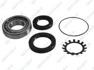 Set rulment roata GSP GK3950 – FORD | AutoRival
