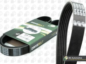 Curea transmisie cu caneluri BGA 6PK1249E – FORD | AutoRival