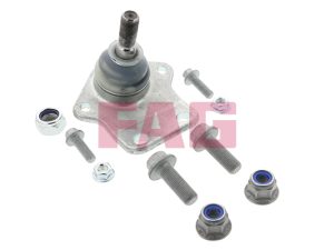 Pivot FAG 825 0084 10 – FORD | AutoRival