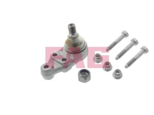 Pivot FAG 825 0095 10 – FORD | AutoRival