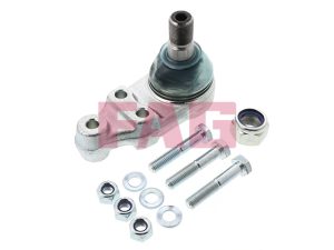 Pivot FAG 825 0096 10 – FORD | AutoRival