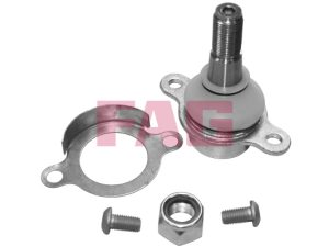 Pivot FAG 825 0273 10 – FORD | AutoRival