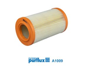 Filtru aer PURFLUX A1009 – FORD | AutoRival