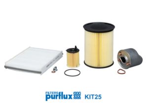 Set filtre PURFLUX KIT25 – FORD | AutoRival