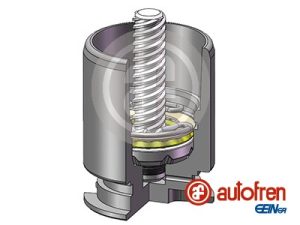 Piston etrier frana AUTOFREN SEINSA D02554RK – FORD | AutoRival