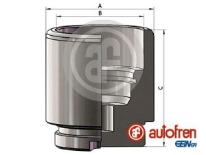 Piston etrier frana AUTOFREN SEINSA D025641 – FORD | AutoRival