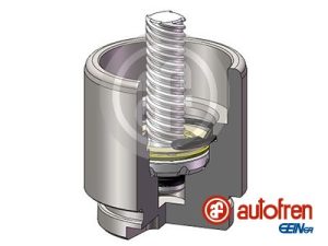 Piston etrier frana AUTOFREN SEINSA D025641LK – FORD | AutoRival