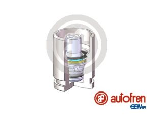 Piston etrier frana AUTOFREN SEINSA D025698K – FORD | AutoRival