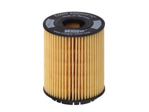 Filtru ulei HENGST FILTER E60H D110 – FORD | AutoRival