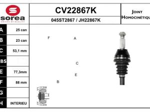 Cap planetara EAI CV22867K – FORD | AutoRival