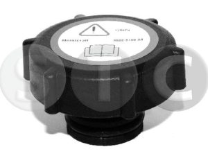 Buson vas expansiune STC T403701 – FORD | AutoRival