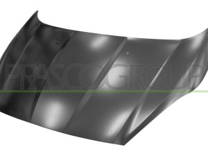 Capota motor PRASCO FD3463100 – FORD | AutoRival