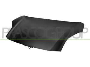 Capota motor PRASCO FD6203100 – FORD | AutoRival