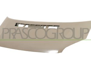 Capota motor PRASCO FD9123100 – FORD | AutoRival