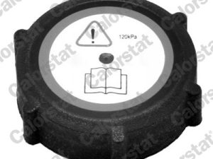 Buson vas expansiune CALORSTAT BY VERNET RC0009 – FORD | AutoRival