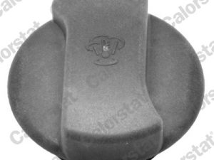 Buson vas expansiune CALORSTAT BY VERNET RC0015 – FORD | AutoRival