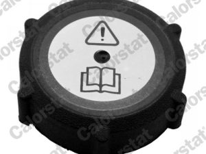 Buson vas expansiune CALORSTAT BY VERNET RC0154 – FORD | AutoRival