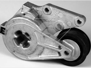 Rola intinzator curea transmisie HUTCHINSON T0263 – FORD | AutoRival