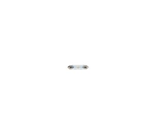 Bec lumini interioare BOSCH 1 987 301 509