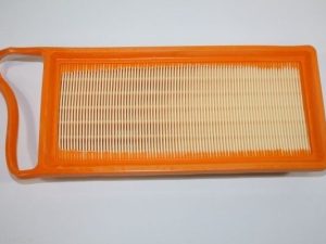 Filtru aer AUTOMEGA 180032310 – FORD | AutoRival