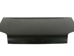 Capota motor BLIC 6803-00-2507280P – FORD | AutoRival